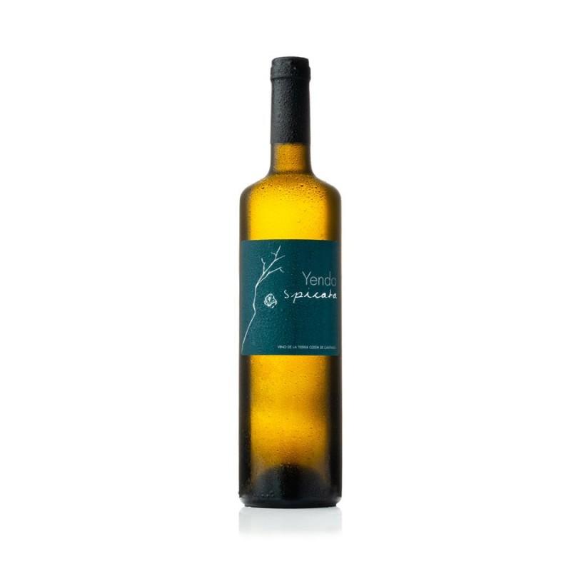 Vino Blanco Yenda Spicata D.O. V.T. Costa de Cantabria