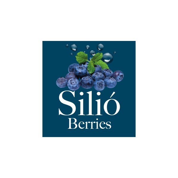 Mermelada de Arándanos 100% Arándanos