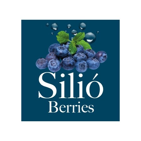 Mermelada de Arándanos 100% Arándanos