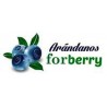 Arándanos Ecológicos Forberry